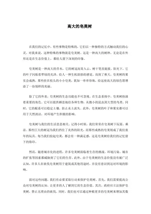 《高大的皂荚树》课文