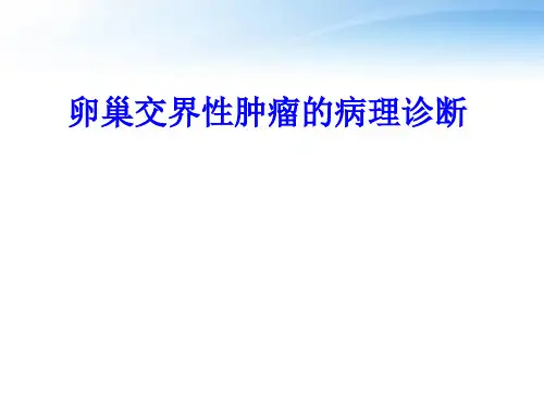 卵巢交界性肿瘤的病理诊断  ppt课件