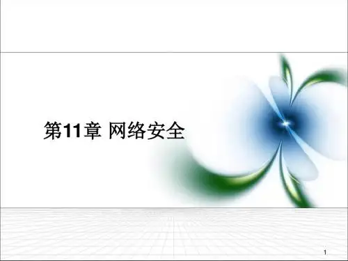 新版第11章网络安全课件.ppt