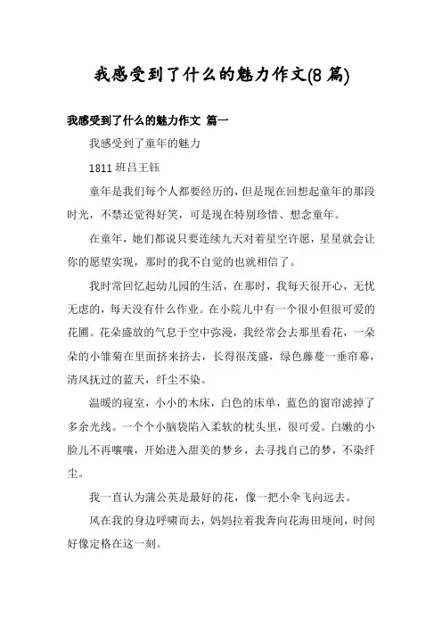 我感受到了什么的魅力作文(8篇)