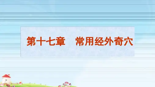 经络腧穴学概述 第十七章 常用经外奇穴