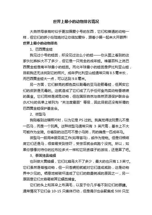 世界上最小的动物排名情况