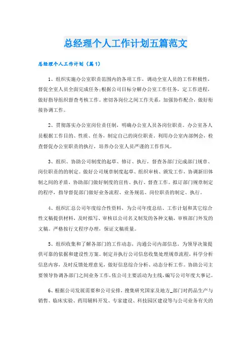 总经理个人工作计划五篇范文
