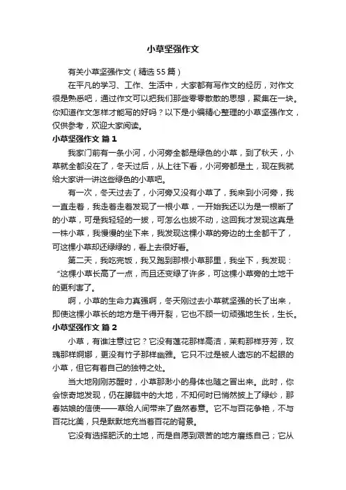 有关小草坚强作文（精选55篇）
