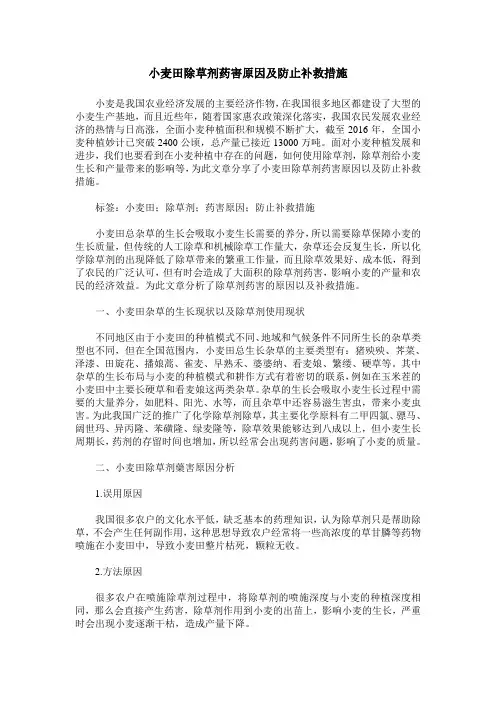 小麦田除草剂药害原因及防止补救措施