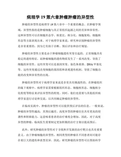 病理学19第六章肿瘤肿瘤的异型性