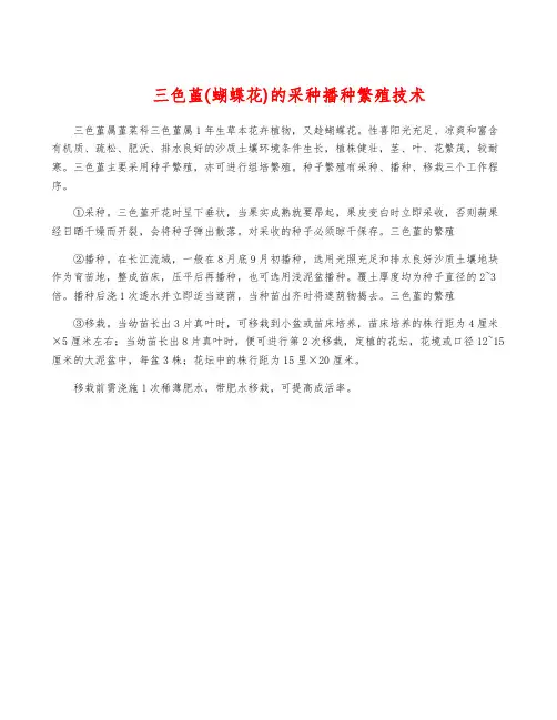 三色堇(蝴蝶花)的采种播种繁殖技术