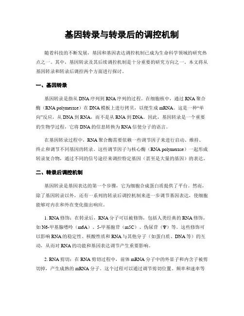 基因转录与转录后的调控机制