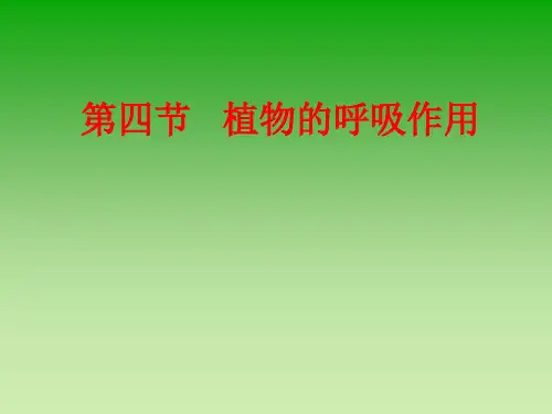 苏教版初中生物七年级上册 3.6.4 植物的呼吸作用 课件(共17张PPT)