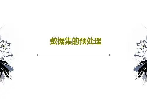 数据集的预处理29页PPT
