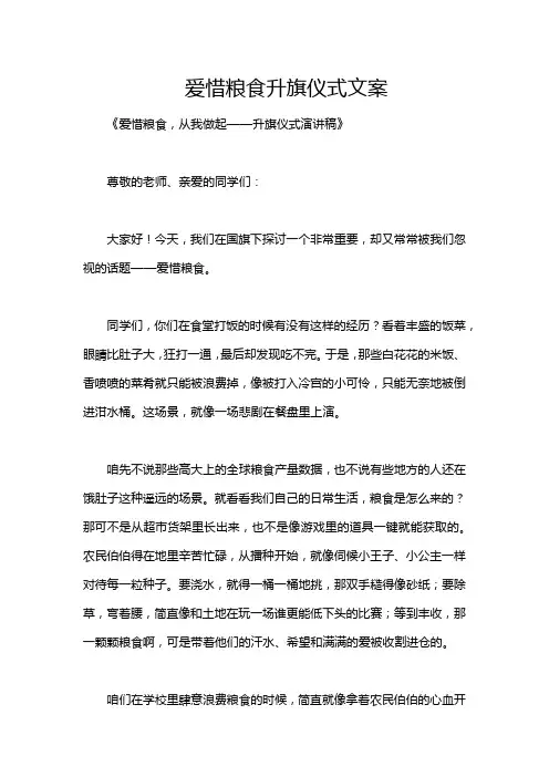 爱惜粮食升旗仪式文案