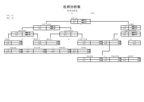 财务报表分析excel模版