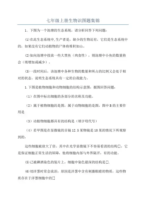 七年级上册生物识图题集锦