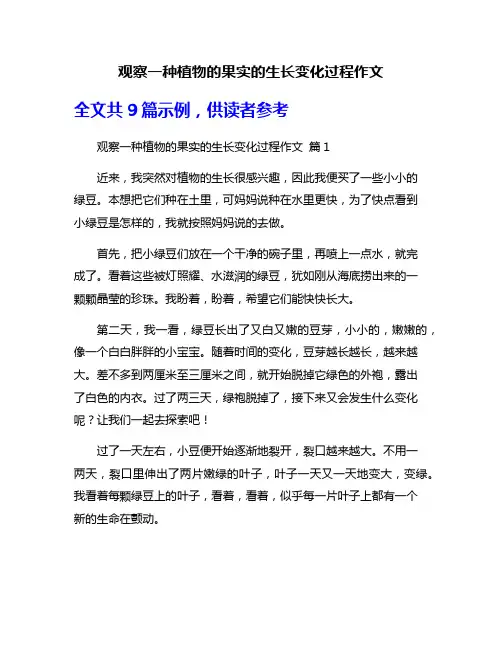 观察一种植物的果实的生长变化过程作文