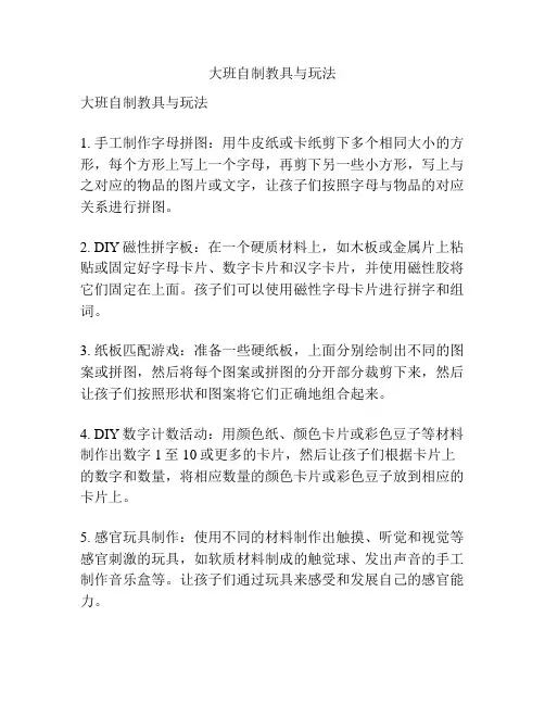 大班自制教具与玩法