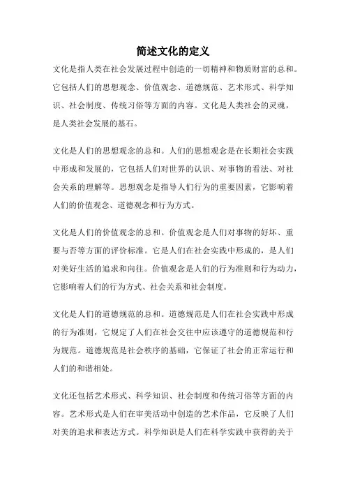 简述文化的定义