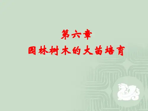 园林树木的大苗培育PPT课件