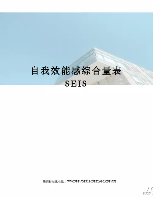 自我效能感综合量表SEIS