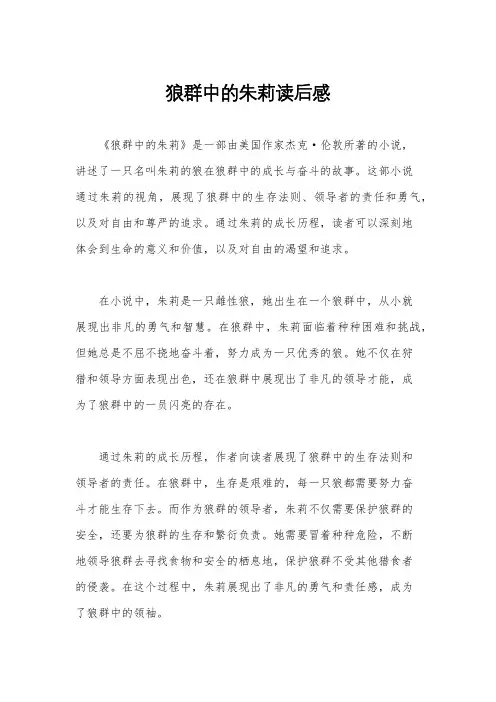 狼群中的朱莉读后感