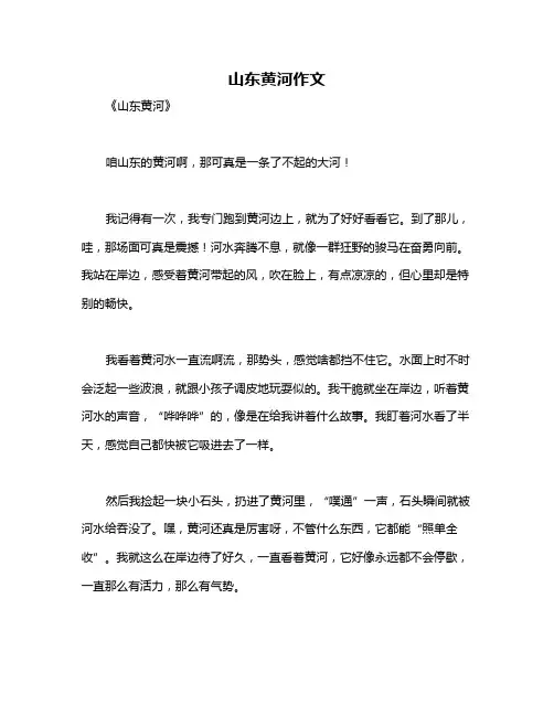 山东黄河作文