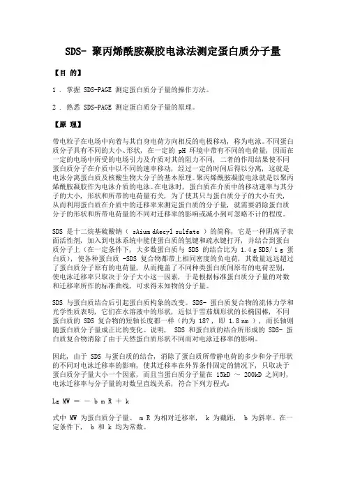 06 生物化学实验--SDS-聚丙烯酰胺凝胶电泳法测定蛋白质分子量