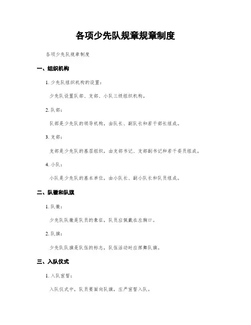 各项少先队规章规章制度