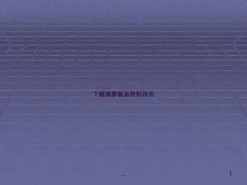 下肢深静脉血栓ppt课件