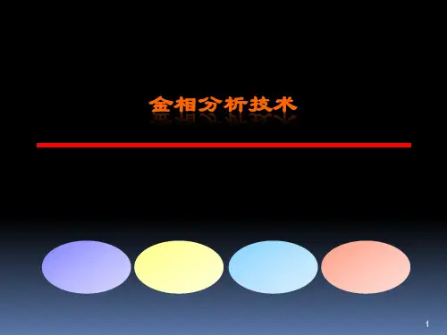 金相分析技术ppt课件ppt课件