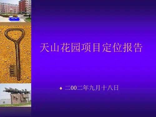 项目定位报告.pptx