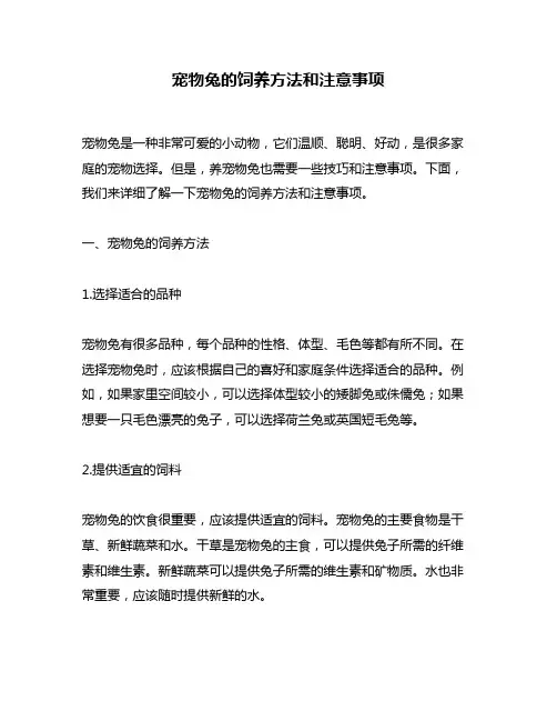 宠物兔的饲养方法和注意事项