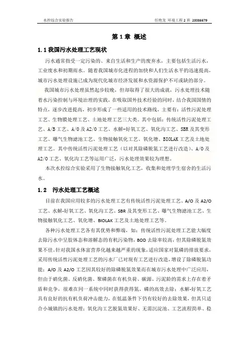 水污染控制综合试验报告