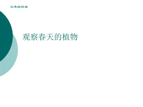 观察春天的植物人教小学三年级下册科学PPT课件