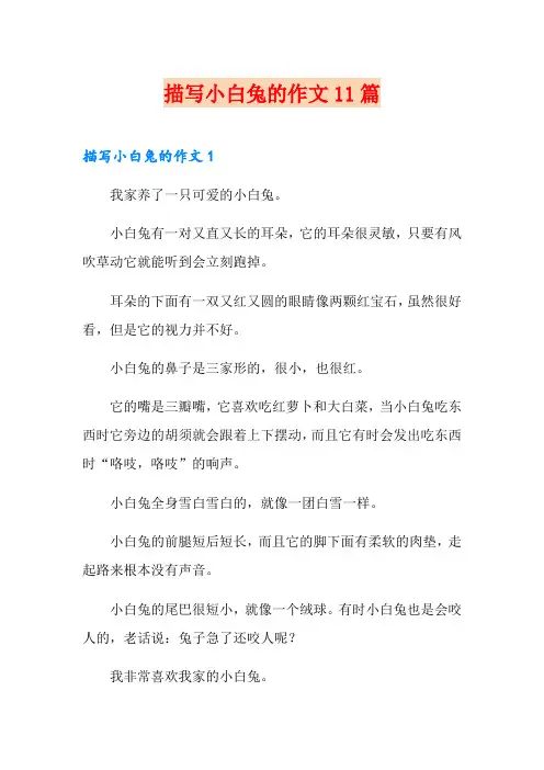 描写小白兔的作文11篇