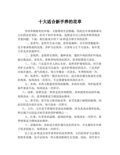 十大适合新手养的花草