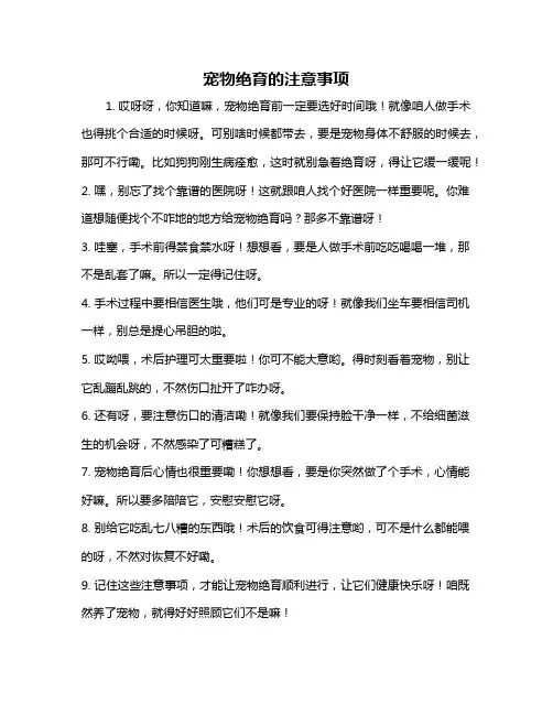 宠物绝育的注意事项