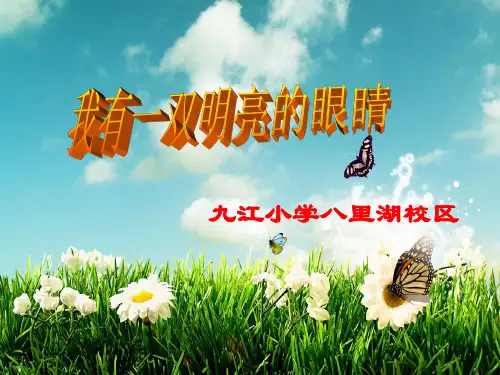 我有一双明亮的眼睛资料