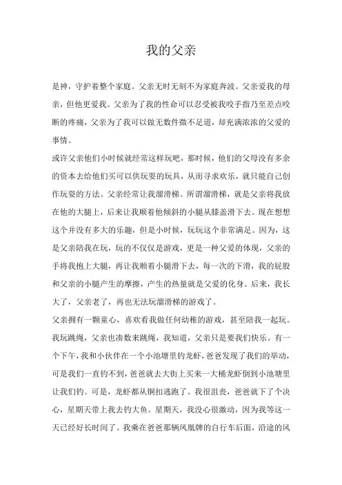 高三叙事我的父亲