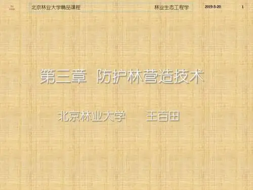 2019年-第三章第七节-PPT精选文档