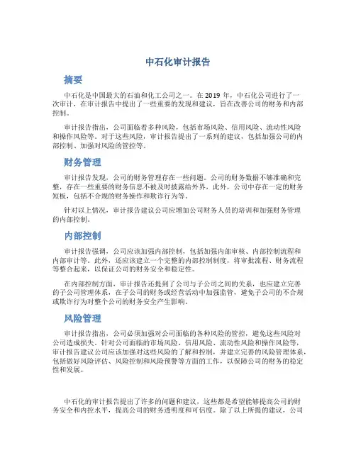 中石化审计报告
