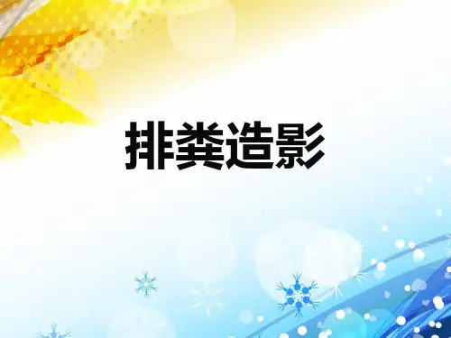 排粪造影