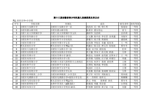 第十八届安徽省青少年机器人竞赛获奖名单公示