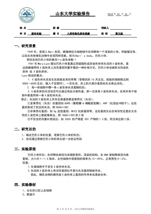 人类性染色质体观察