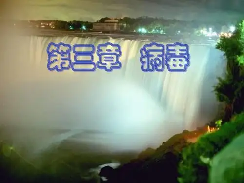 【初中生物】病毒PPT课件2