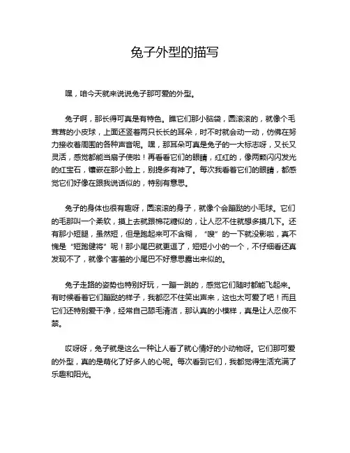 兔子外型的描写
