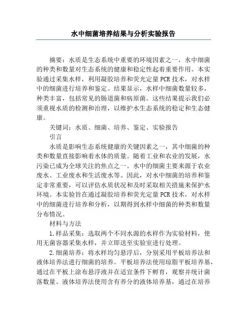 水中细菌培养结果与分析实验报告
