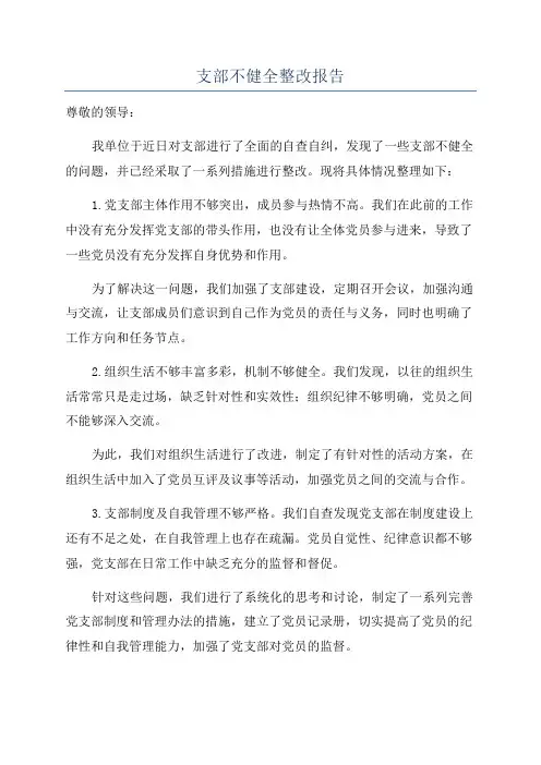 支部不健全整改报告
