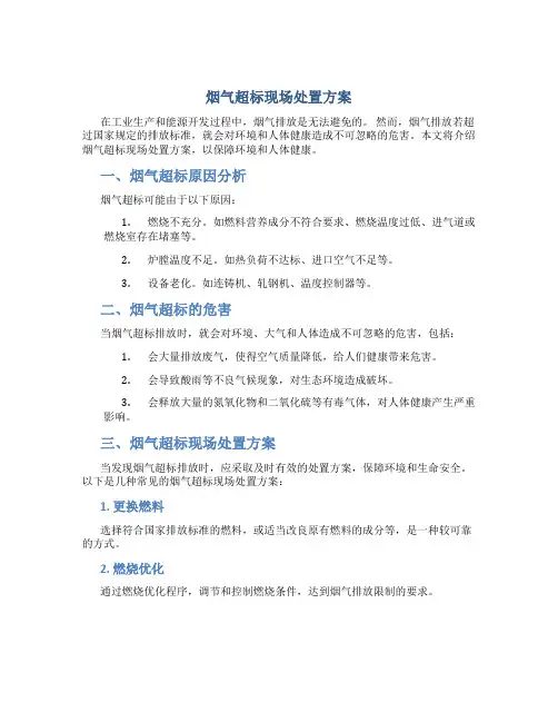 烟气超标现场处置方案