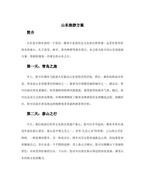 山东旅游方案