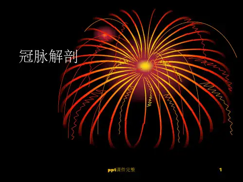 冠脉解剖ppt课件