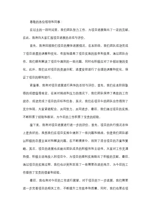  项目进展汇报总结与评价